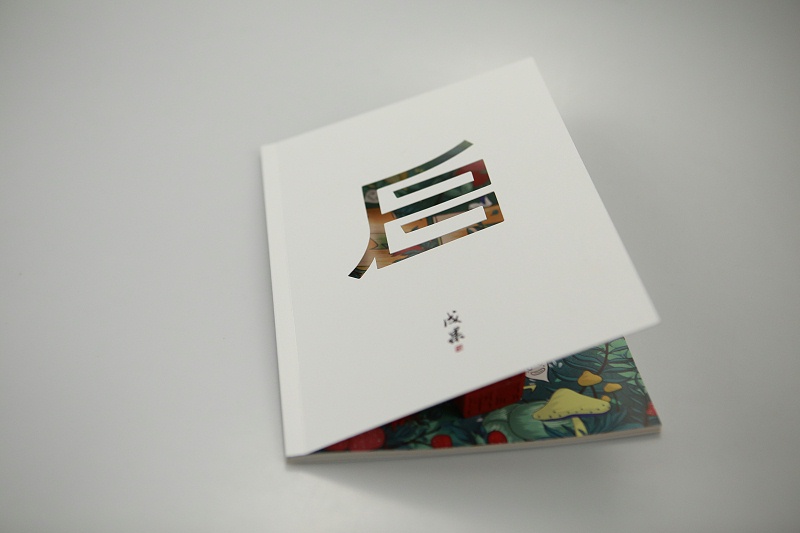 畫冊設(shè)計(jì)印刷制作